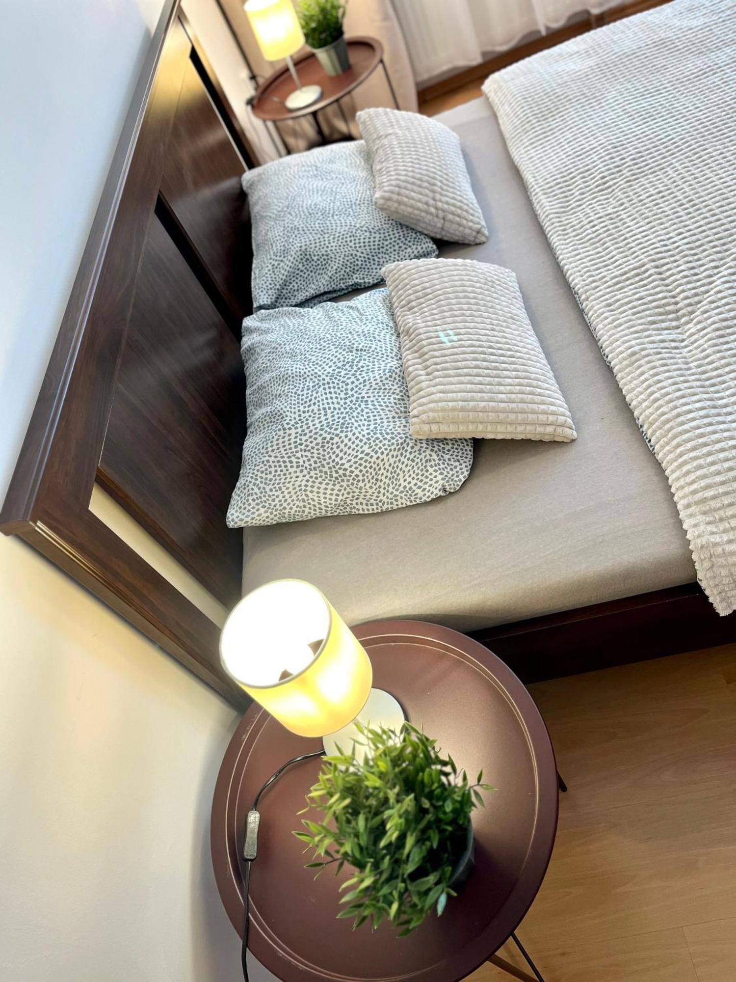 Apartment Tina - Old Town, Ac, Free Private Parking Bratislava Esterno foto